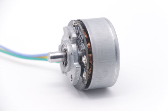 DBL3825 12V 24V BLDC Động cơ mô-men xoắn cao Fascial Gun Mini DC Brushless Motor