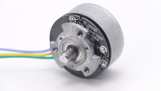 DBL3825 12V 24V BLDC Động cơ mô-men xoắn cao Fascial Gun Mini DC Brushless Motor