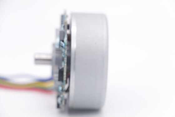 DBL4825 12V 48mm Rotor bên ngoài BLDC Motor cho Fascia Gun Massager Gun