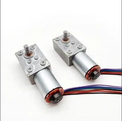 Động cơ bánh răng giun DC tốc độ thấp Điện tắt Động cơ tự khóa với mã hóa