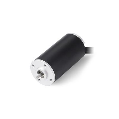 28mm Brushless Coreless DC Motor 24V 30V 36V 18000 RPM Bộ mô-men xoắn cao cho xe điện