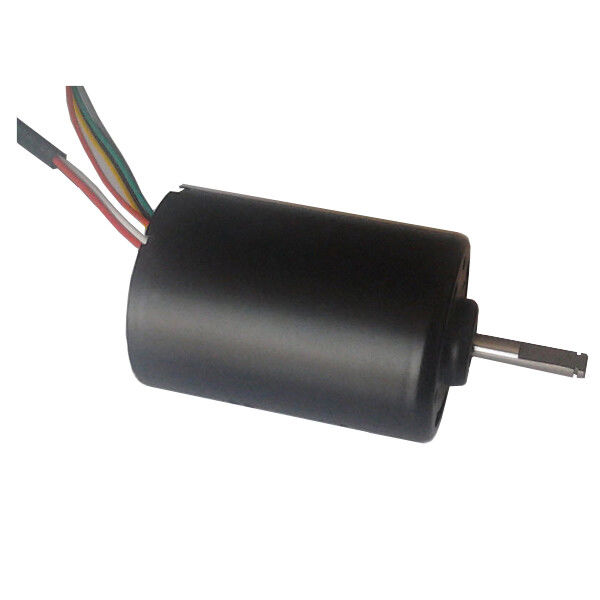 DBL4260 30W mô-tô DC mô-tô không chải bơm nước 24 Volt BLDC mô-tô