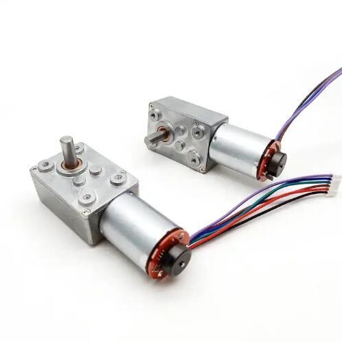 Động cơ bánh răng giun DC tốc độ thấp Điện tắt Động cơ tự khóa với mã hóa